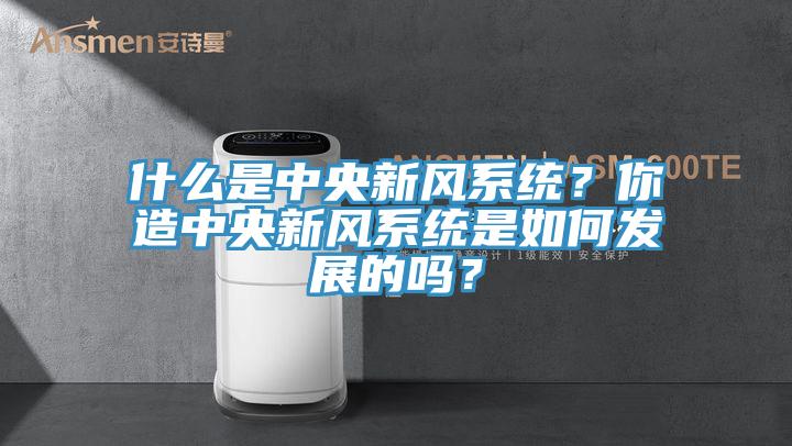 什麽是中央新風係統？你造中央新風係統是如何發展的嗎？