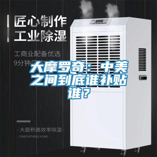 大摩羅奇：中美之間到底誰補貼誰？