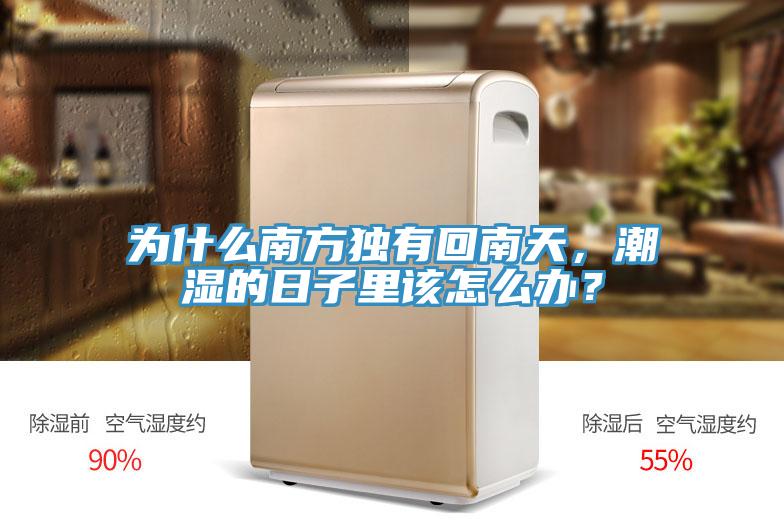 為什麽南方獨有回南天，潮濕的日子裏該怎麽辦？