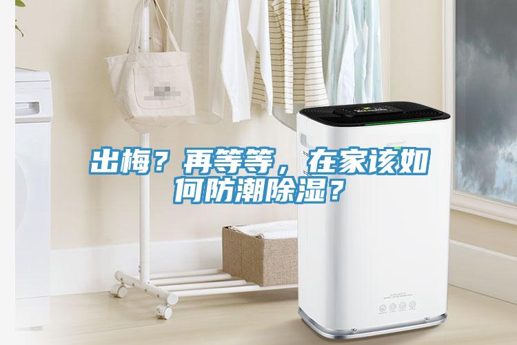出梅？再等等，在家該如何防潮除濕？