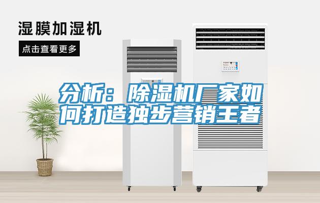 分析：草莓小视频黄色廠家如何打造獨步營銷王者