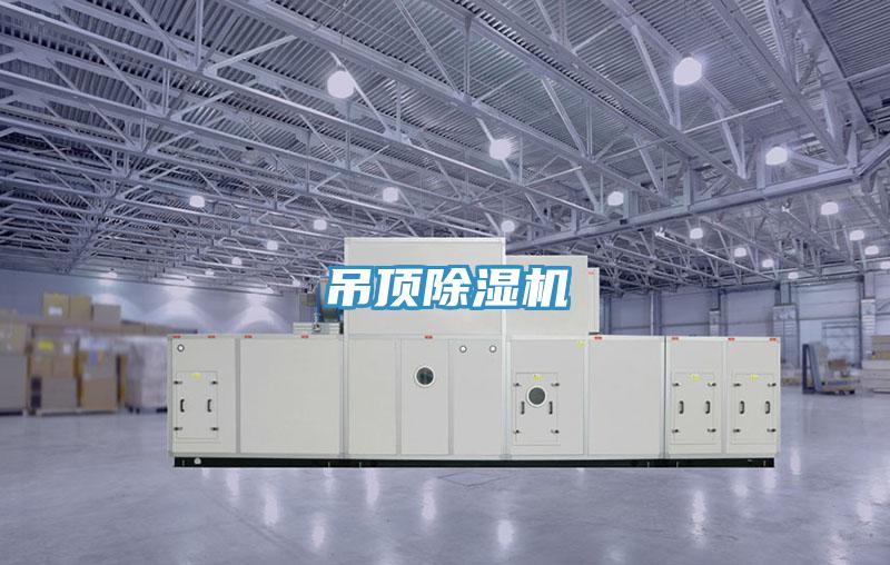 吊頂草莓小视频黄色