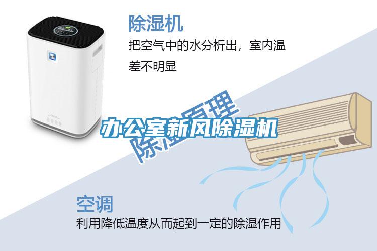 辦公室新風草莓小视频黄色