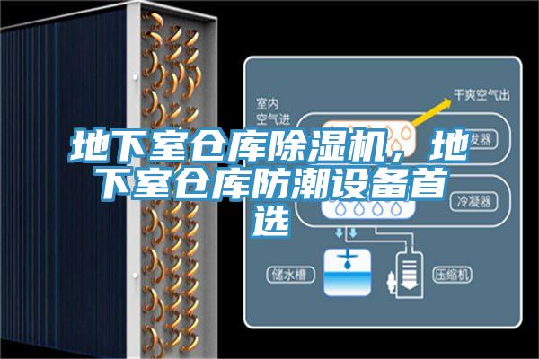 地下室倉庫草莓小视频黄色，地下室倉庫防潮設備首選