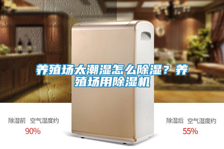 養殖場太潮濕怎麽除濕？養殖場用草莓小视频黄色