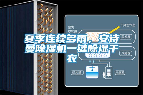 夏季連續多雨，草莓视频APP在线草莓小视频黄色一鍵除濕幹衣