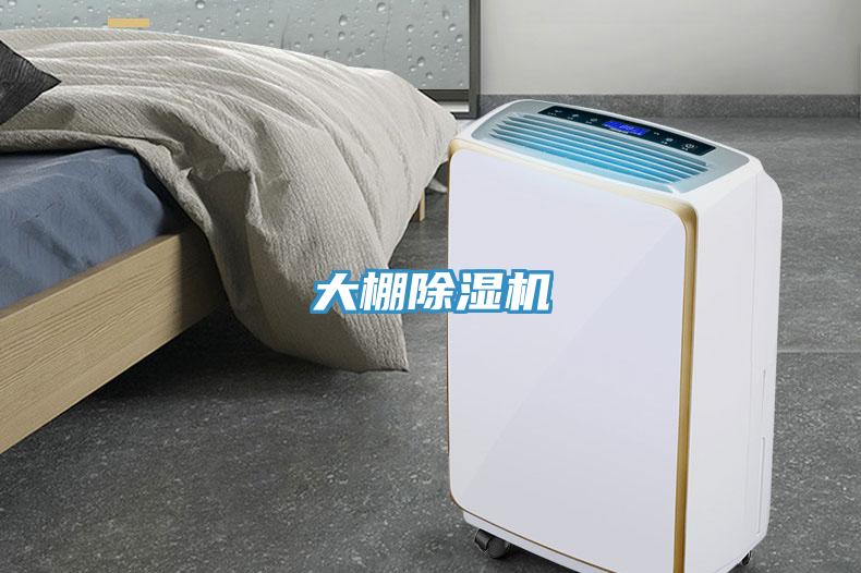 大棚草莓小视频黄色