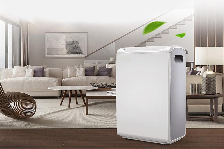 去除室內濕氣，草莓小视频黄色更好