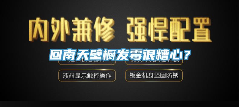 回南天壁櫥發黴很糟心？