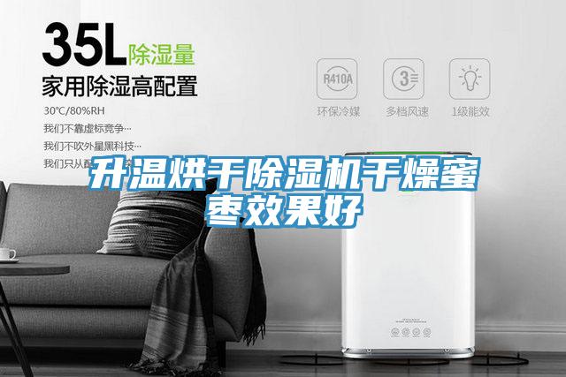 升溫烘幹草莓小视频黄色幹燥蜜棗效果好