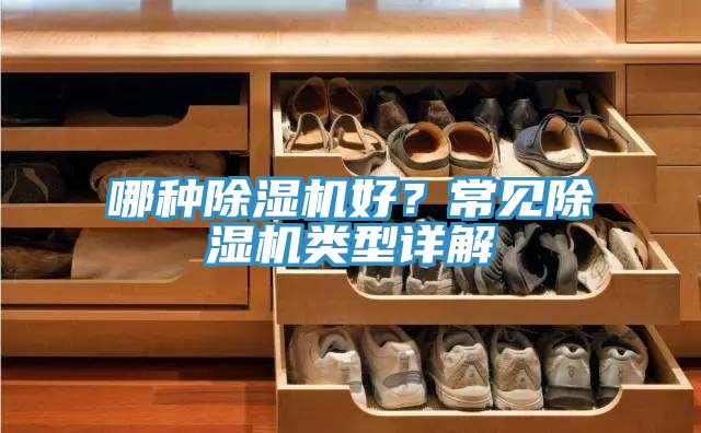 哪種草莓小视频黄色好？常見草莓小视频黄色類型詳解