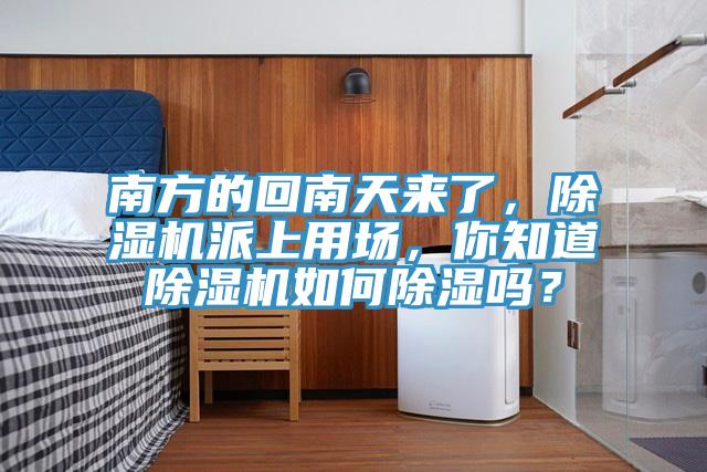 南方的回南天來了，草莓小视频黄色派上用場，你知道草莓小视频黄色如何除濕嗎？