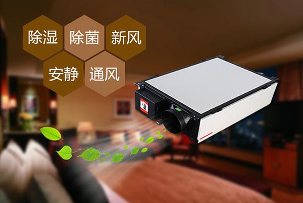 雙十一剛過，雙十二如約而至，濕冷還受得了嗎？