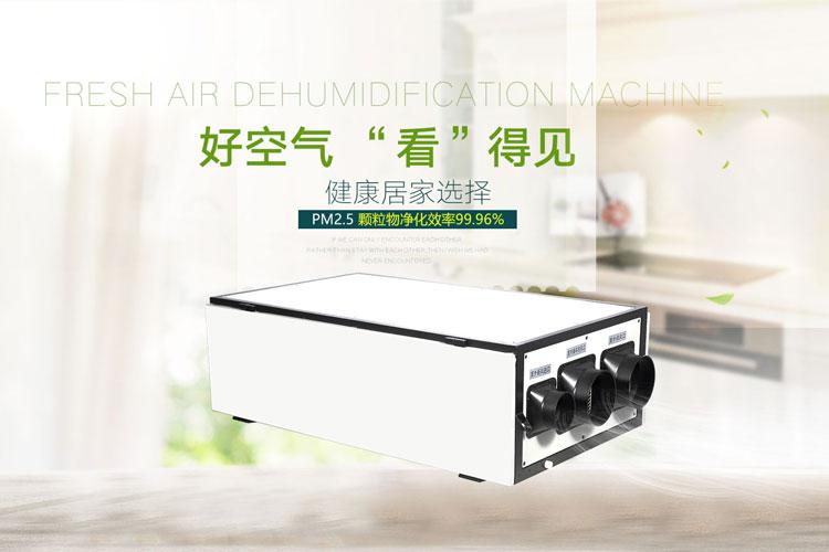 工業草莓小视频黄色7Kg／h