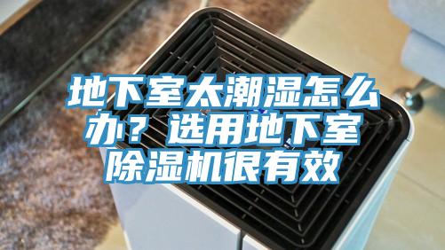 地下室太潮濕怎麽辦？選用地下室草莓小视频黄色很有效