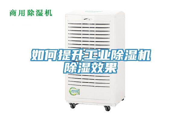 如何提升工業草莓小视频黄色除濕效果