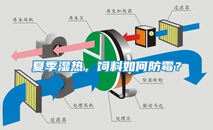 夏季濕熱，飼料如何防黴？