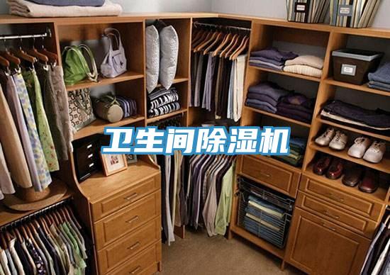 衛生間草莓小视频黄色