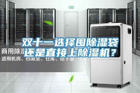 雙十一選擇囤除濕袋還是直接上草莓小视频黄色？