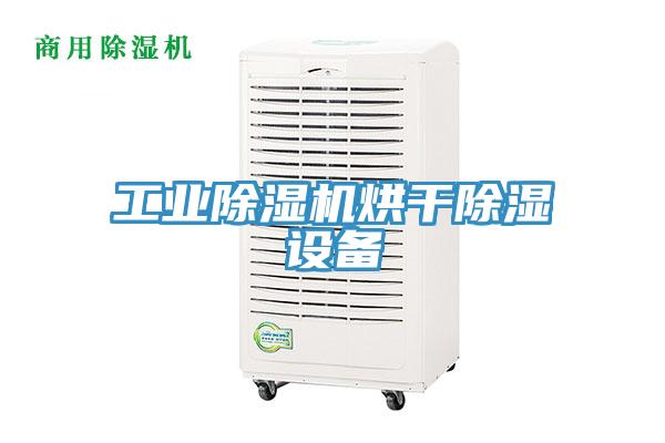 工業草莓小视频黄色烘幹除濕設備