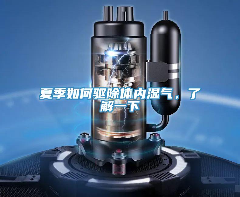 夏季如何驅除體內濕氣，了解一下