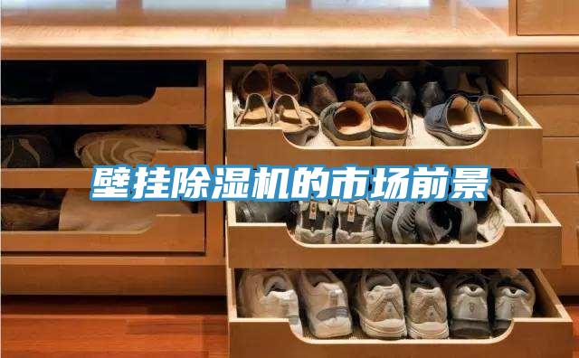 壁掛草莓小视频黄色的市場前景