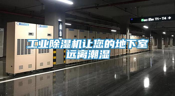 工業草莓小视频黄色讓您的地下室遠離潮濕