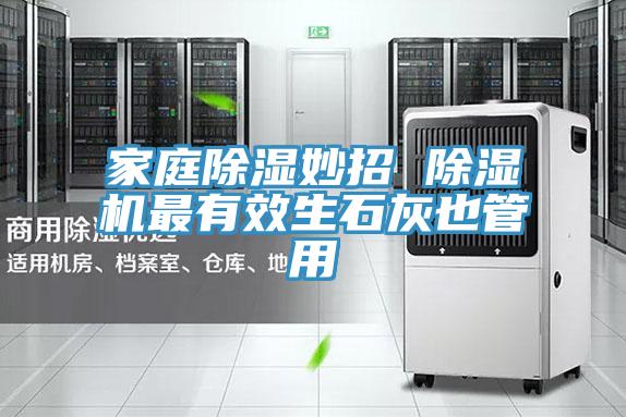 家庭除濕妙招 草莓小视频黄色最有效生石灰也管用