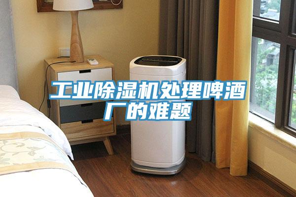 工業草莓小视频黄色處理啤酒廠的難題