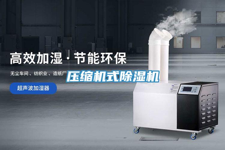 壓縮機式草莓小视频黄色