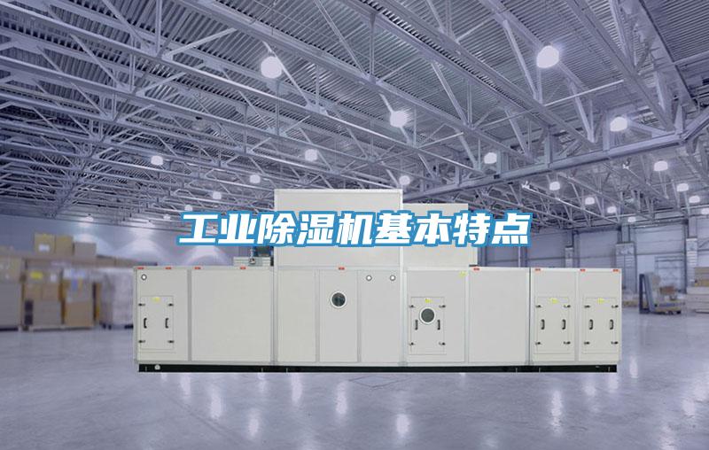 工業草莓小视频黄色基本特點