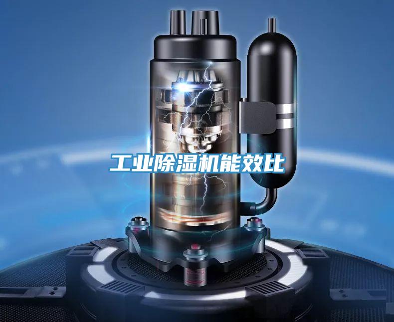 工業草莓小视频黄色能效比