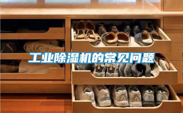 工業草莓小视频黄色的常見問題