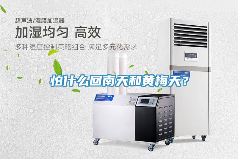 怕什麽回南天和黃梅天？
