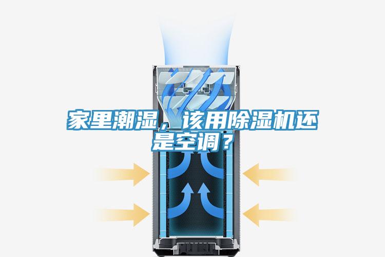 家裏潮濕，該用草莓小视频黄色還是空調？