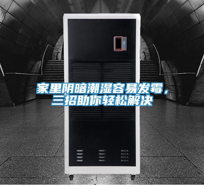 家裏陰暗潮濕容易發黴，三招助你輕鬆解決