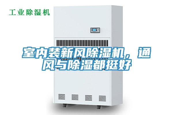 室內裝新風草莓小视频黄色，通風與除濕都挺好