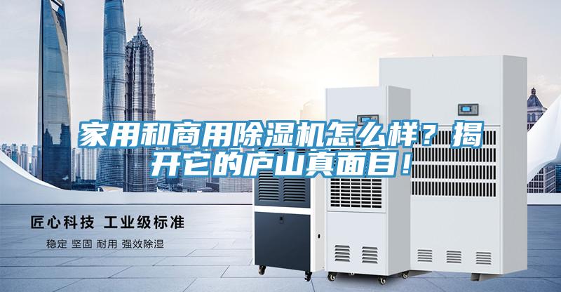 家用和商用草莓小视频黄色怎麽樣？揭開它的廬山真麵目！