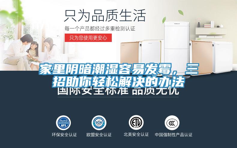 家裏陰暗潮濕容易發黴，三招助你輕鬆解決的辦法