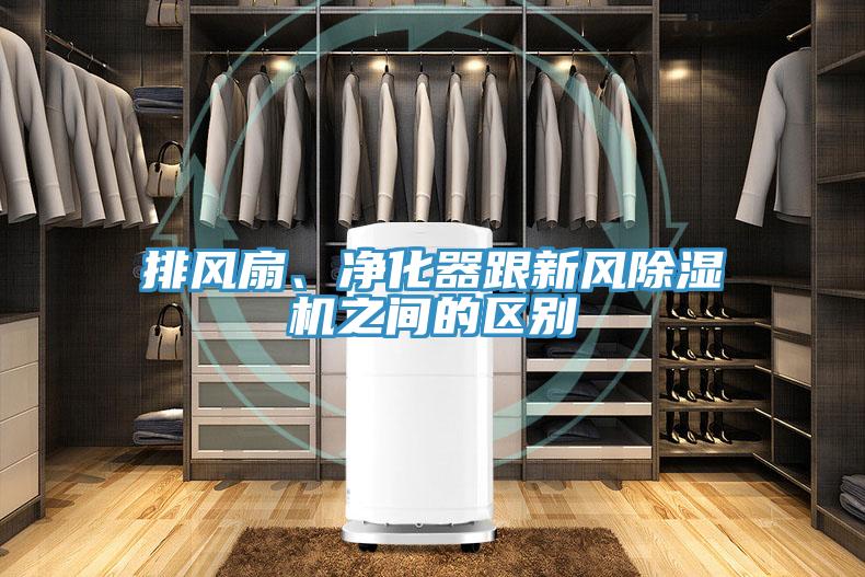 排風扇、淨化器跟新風草莓小视频黄色之間的區別