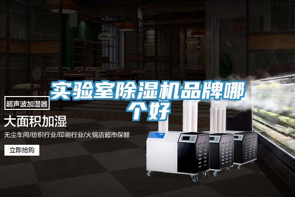 實驗室草莓小视频黄色品牌哪個好