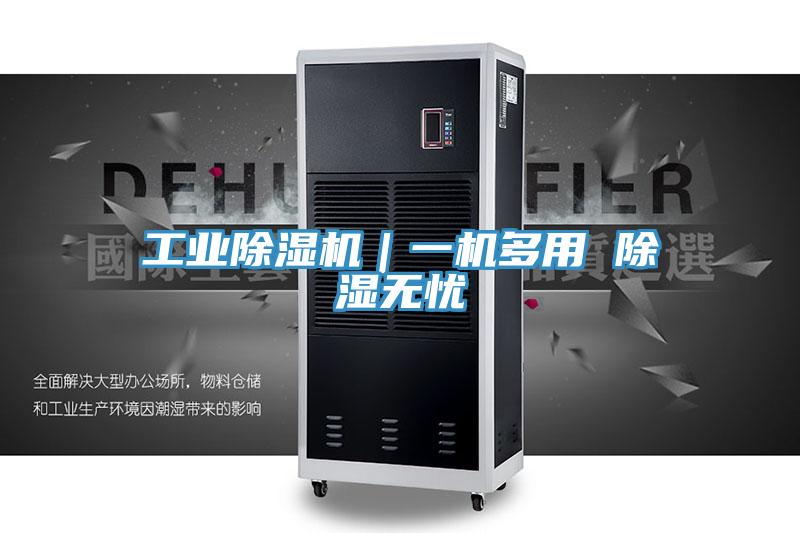 工業草莓小视频黄色｜一機多用 除濕無憂