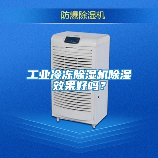 工業冷凍草莓小视频黄色除濕效果好嗎？