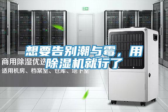 想要告別潮與黴，用草莓小视频黄色就行了