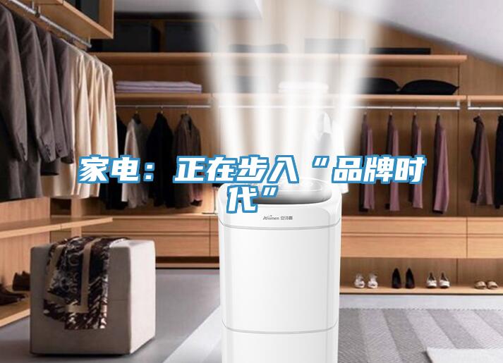 家電：正在步入“品牌時代”