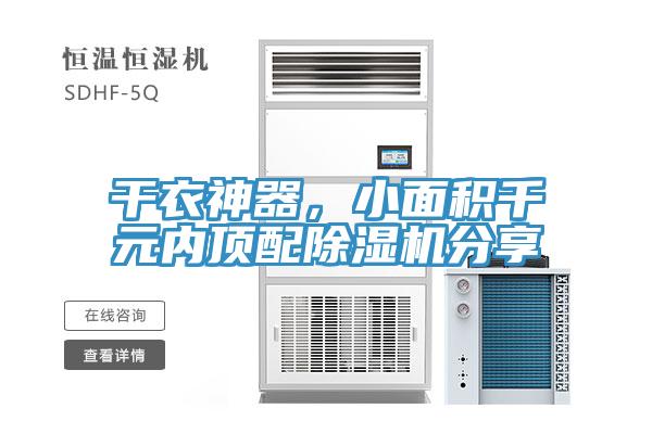 幹衣神器，小麵積千元內頂配草莓小视频黄色分享