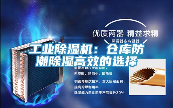 工業草莓小视频黄色：倉庫防潮除濕高效的選擇