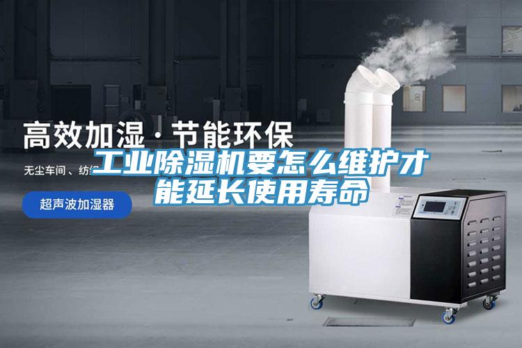 工業草莓小视频黄色要怎麽維護才能延長使用壽命