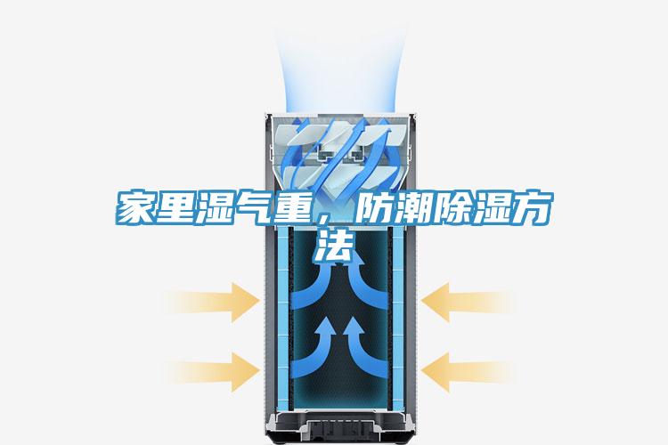 家裏濕氣重，防潮除濕方法
