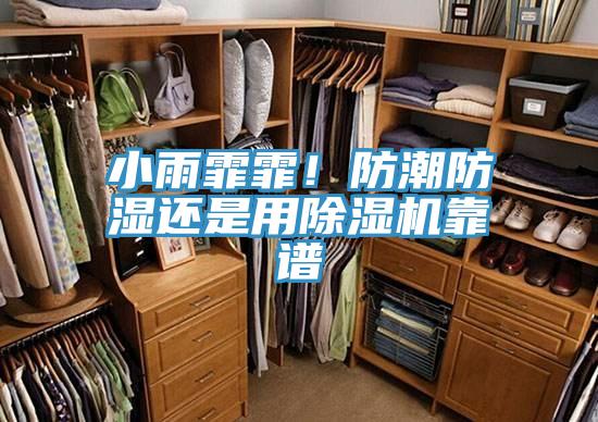 小雨霏霏！防潮防濕還是用草莓小视频黄色靠譜